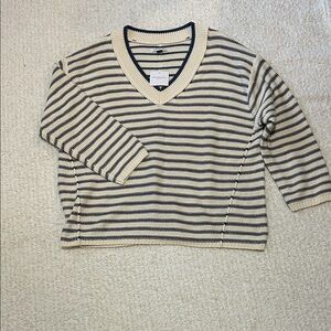 American Eagle Outfitters NWT V-Neck Sweater